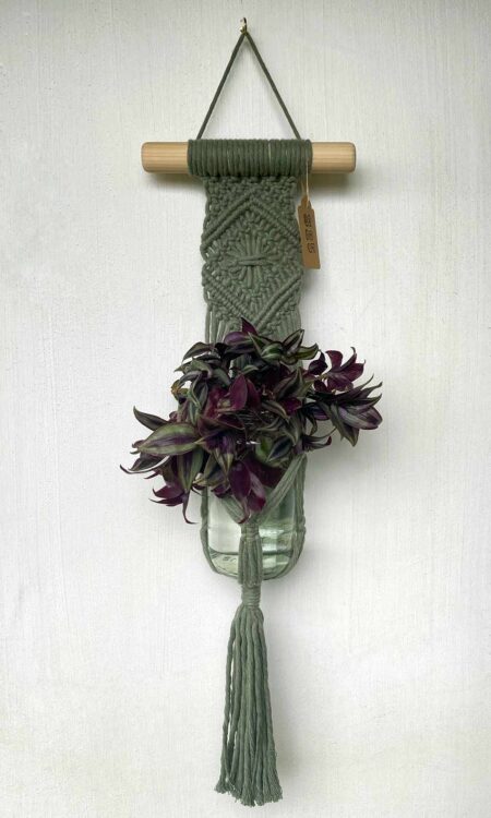Green Macrame Plant Hanger