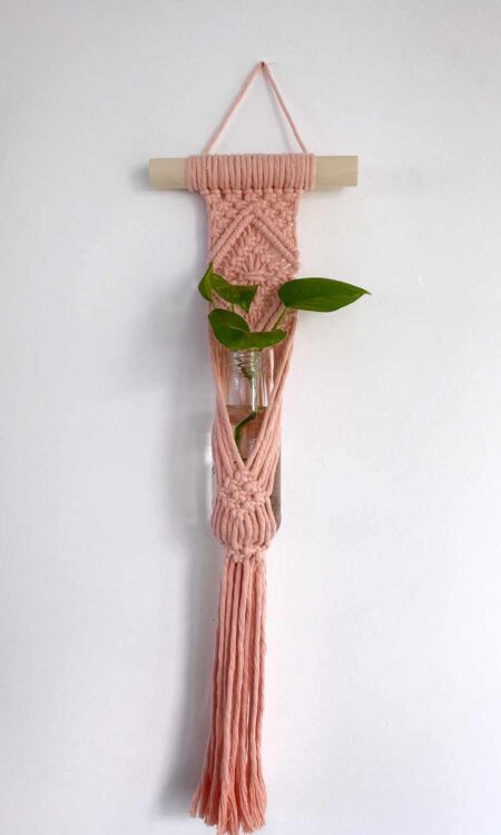 Small macrame plant hanger on wall in peach color