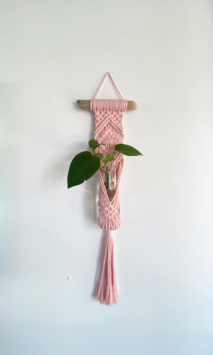 Pink Macrame Plant Hanger on Driftwood