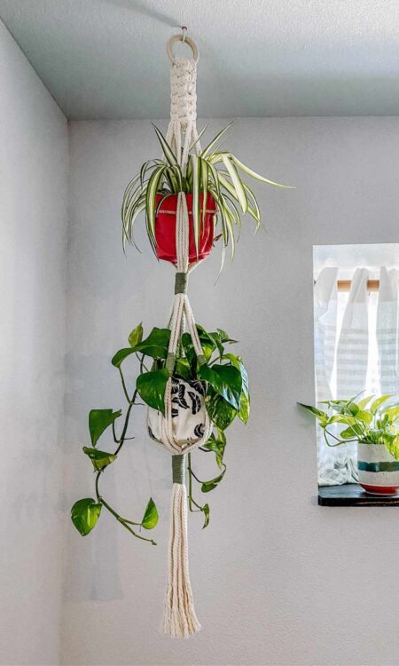 Large macrame plant hanger that holds two plants and has green accents