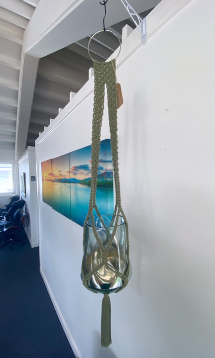 Shop Macrame Plant Hanger in Avocado Green