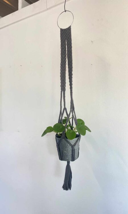 Blue macrame plant hanger
