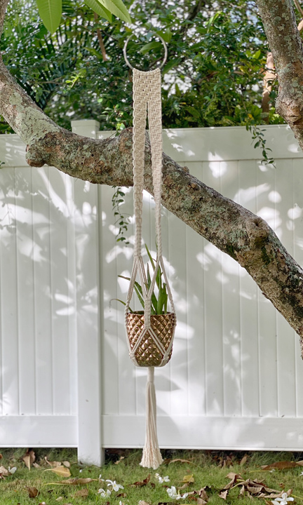 Shop white macrame plant hangers
