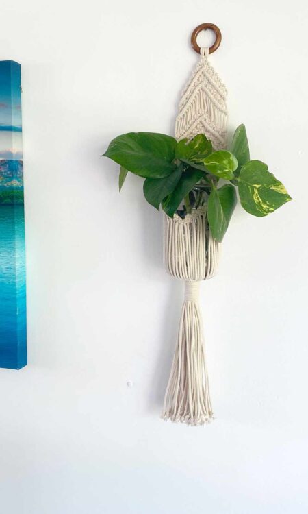 Small Macrame Plant Hanger for Sale