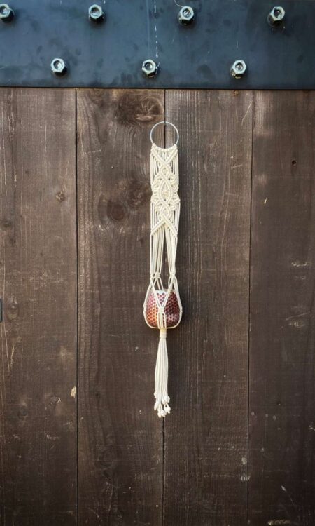 Shop Macrame Plant Hangers