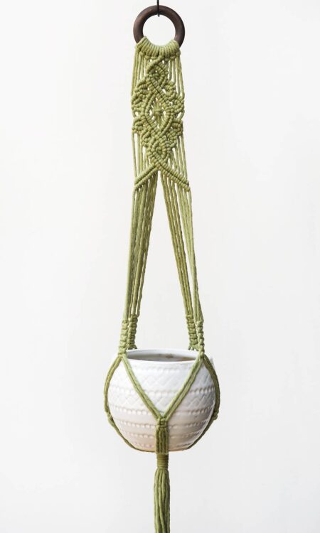 Shop fern green macrame plant hanger