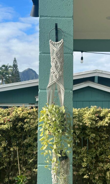 White macrame hanging planter with trailing plant for purchase online or in Kailua, Hawaii