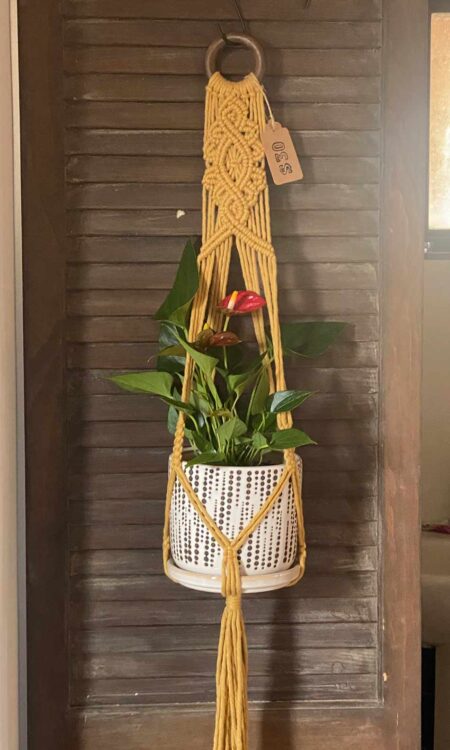 Mustard Yellow macrame plant hanger