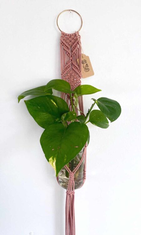 Pink macrame plant hanger