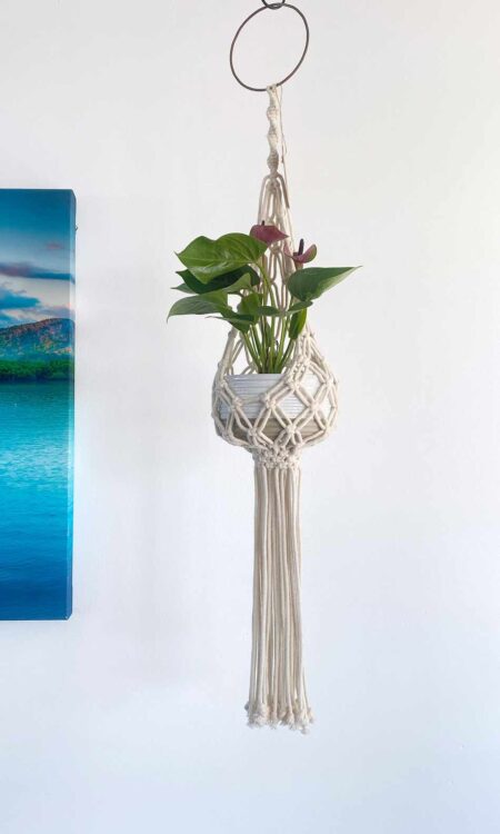 Macrame plant hanger with antherium plant