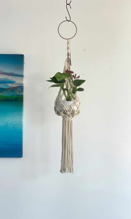 Macrame plant hanger as home decoration