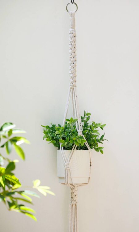Buy Macrame Plant Hanger in Kailua