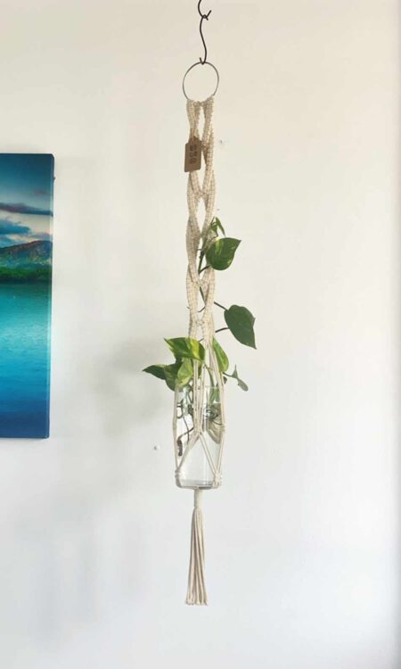 Shop White Macrame Plant Hanger