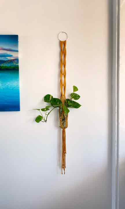 Hanging macrame planter in mustard yellow