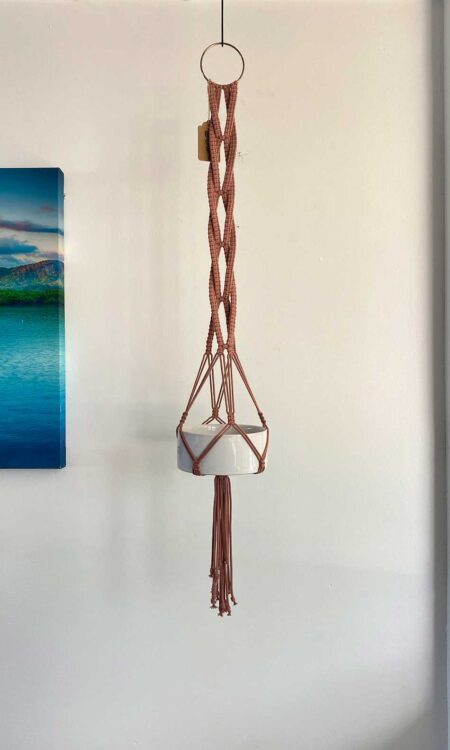 Shop macrame plant hanger in pink