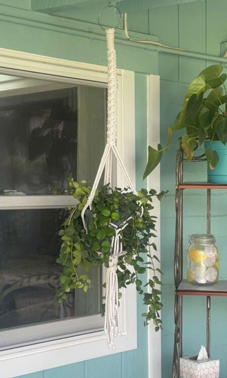 shop sturdy macrame plant hangers