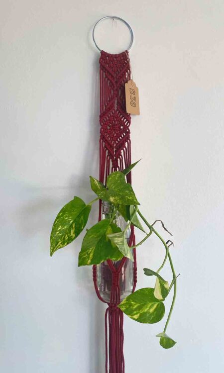cranberry red macrame plant hanger
