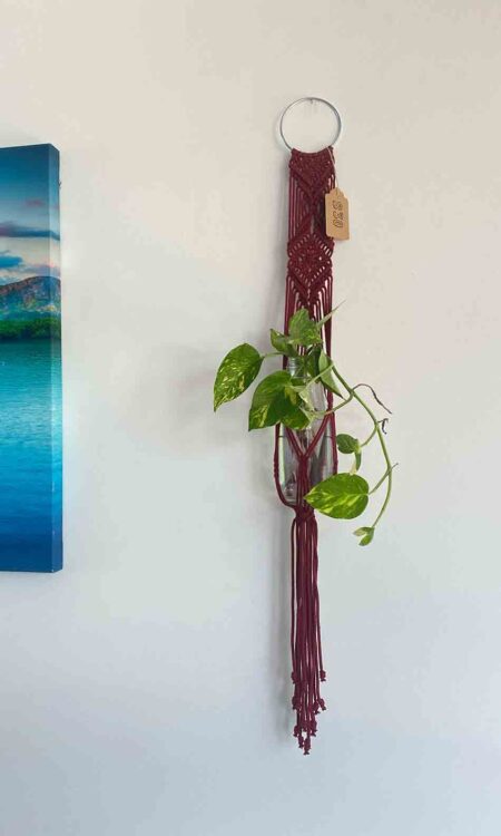 cranberry red macrame plant hanger