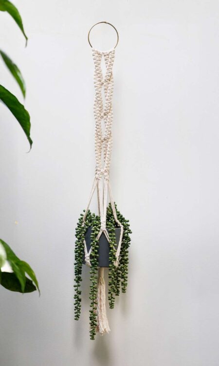 Buy Macrame Plant Hanger
