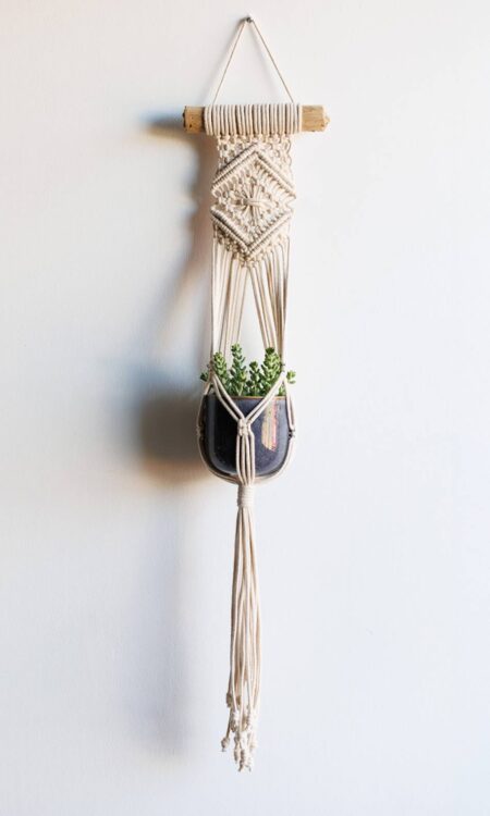 Macrame plant hanger on driftwood available online or in Kailua, Oahu Hawaii