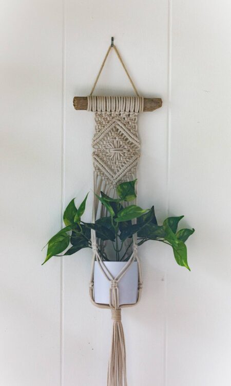 Macrame plant hanger on driftwood
