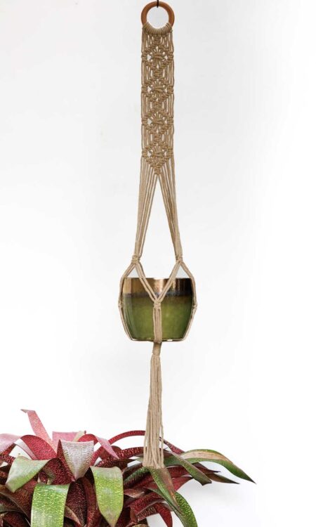 Order brown macrame plant hanger online