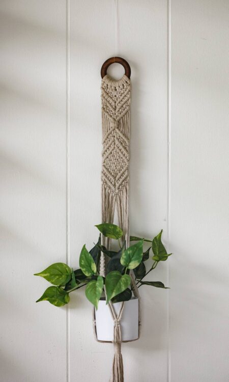 Shop Cotton Off White Macrame Plant Hanger