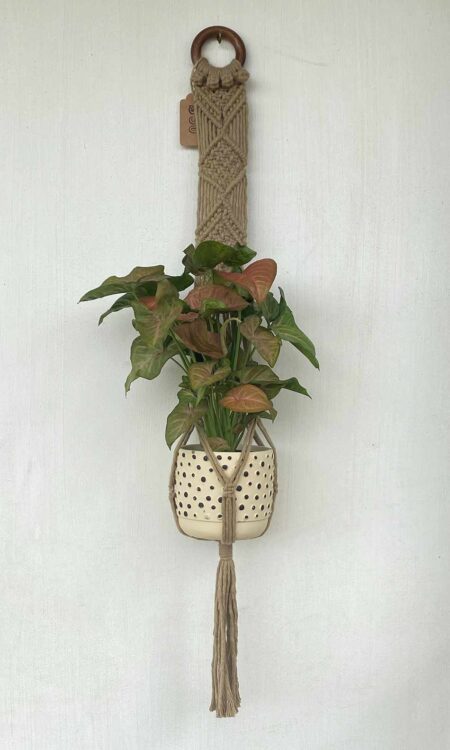 Brown macrame plant hanger