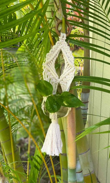 Small macrame plant hanger