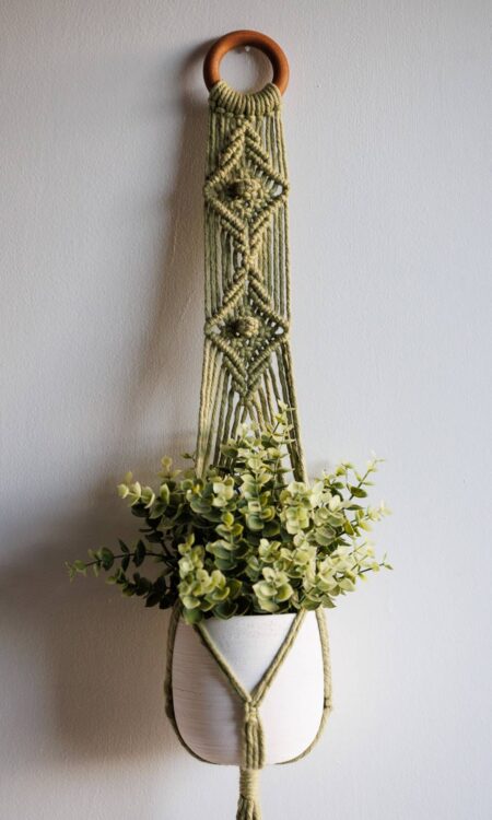 Shop Macrame Plant Hangers in Fern Green