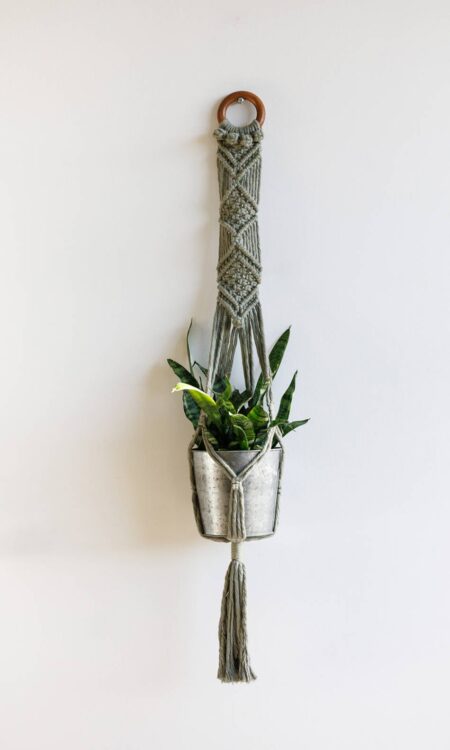 Shop green macrame plant hangers