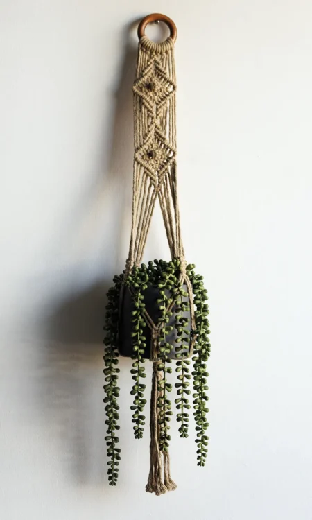 Brown macrame plant hanger holding a pot and plant against a white wall