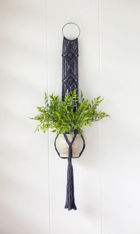 Grey macrame plant hanger with potted plant hanging on white wall