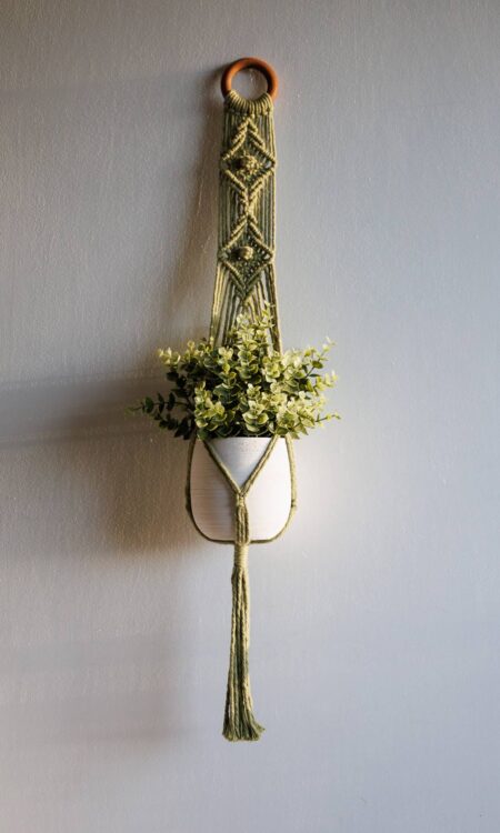 Shop Macrame Plant Hangers in Fern Green