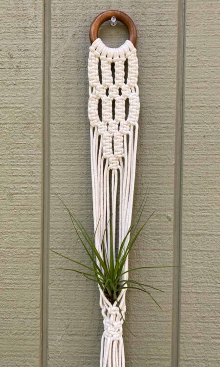 Shop macrame plant hangers