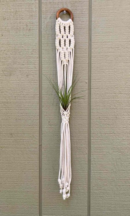 Small macrame plant hanger