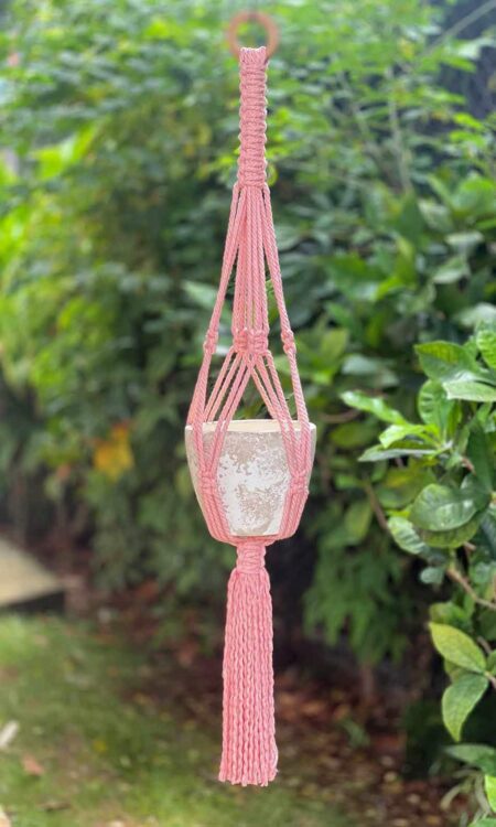 Macrame plant hanger in color sherbet
