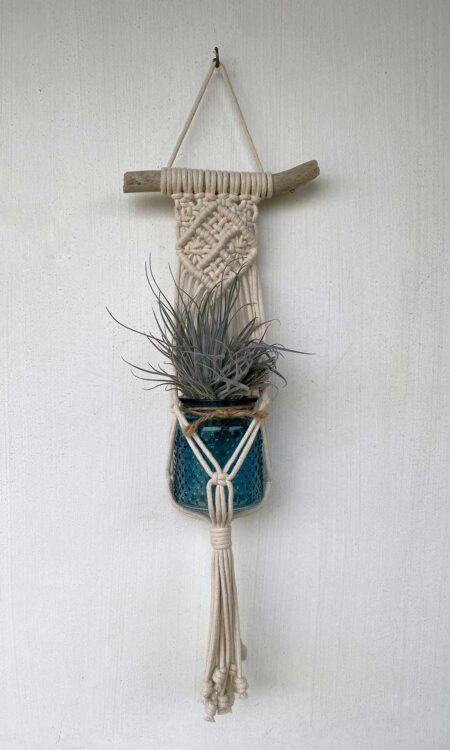 Shop small macrame plant hanger