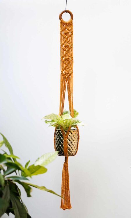 Bright Mustard Yellow Macrame Plant Hanger