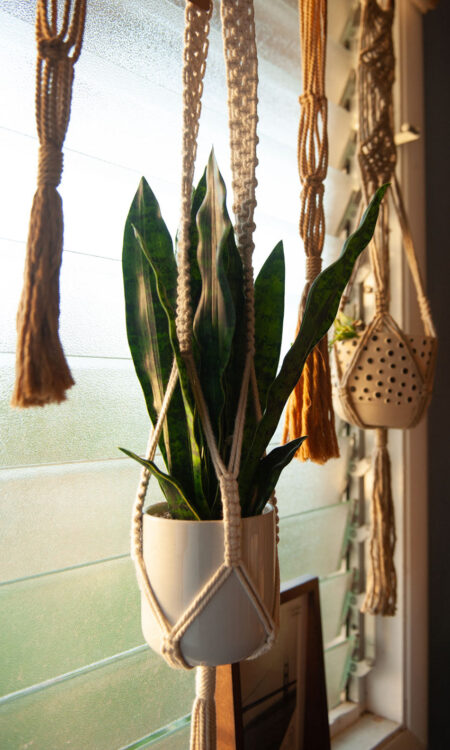 White macrame plant hanger, hanging in window