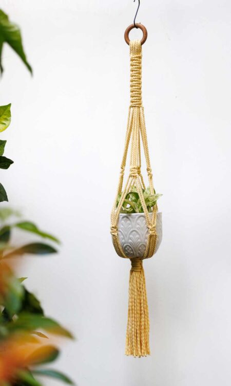 Shop Sunshine Yellow Macrame Plant Hanger in Kailua Hawaii