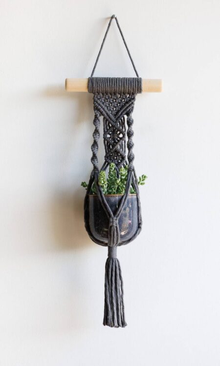 Shop macrame plant hanger with succulents
