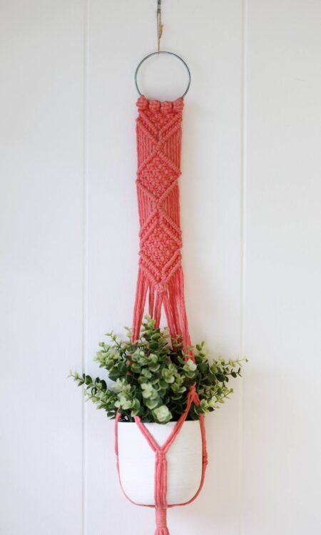 Shop bright pink macrame plant hanger