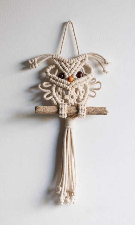 Small macrame owl wall hanging