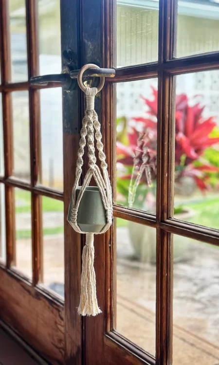 Small white Macrame plant hanger with spiral knots, hanging on door knob of door made of windows.